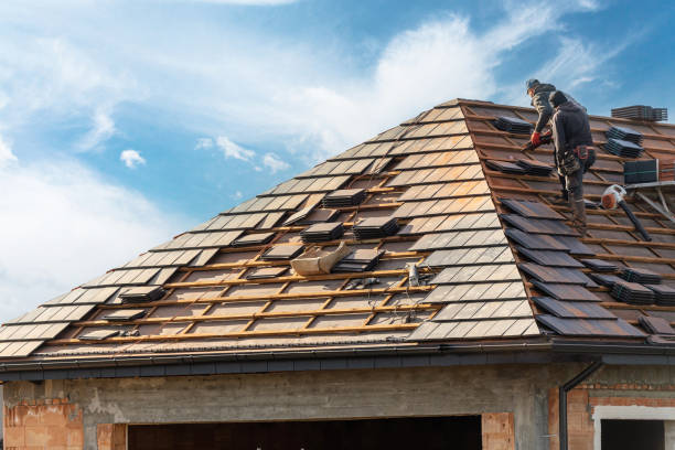 Best Chimney Flashing Repair  in Andover, MN