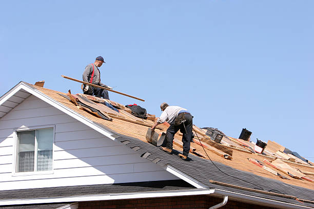 Best Metal Roofing Installation  in Andover, MN
