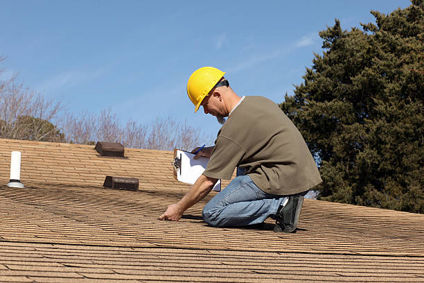 Best Solar Panel Roofing Installation  in Andover, MN